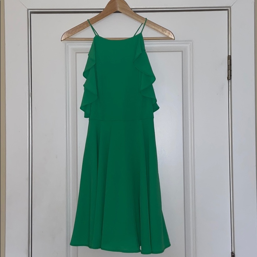 She + Sky Spring Green Flirty Dress